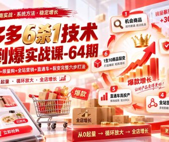 拼多多6杀1技术从0到爆实战课-64期：机会商品+防比价+限量购+全站营销+直通车+裂变完整六步打法